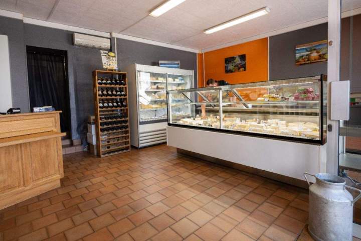 Fromage bleu Brie-Comte-Robert