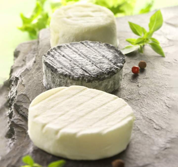 Fromages de chèvre Brie-Comte-Robert